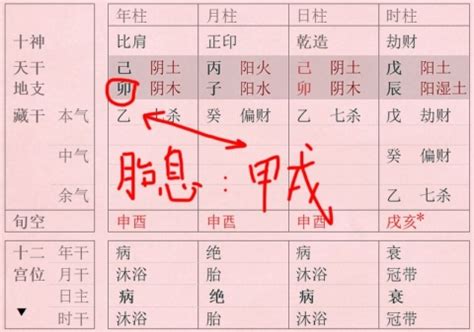 胎息八字